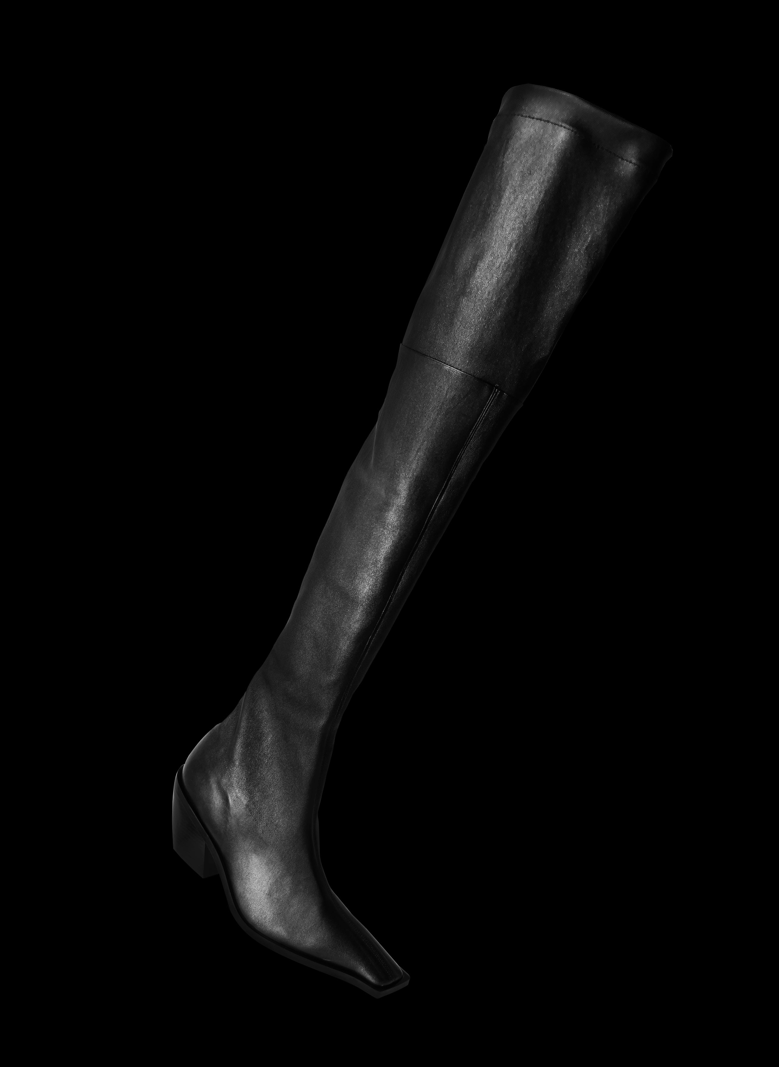 Sciupacoscia noir