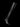 Sciupacoscia noir